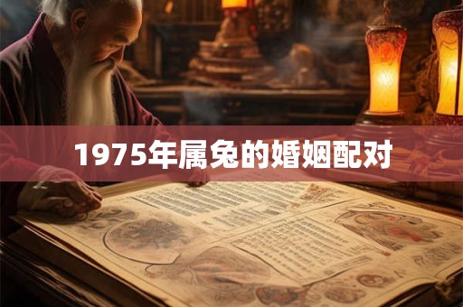 1975年属兔的婚姻配对