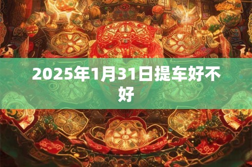 2025年1月31日提车好不好