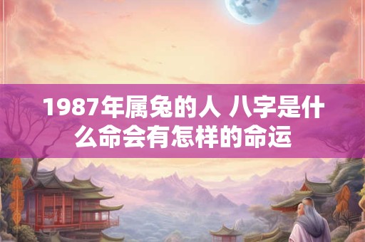 1987年属兔的人 八字是什么命会有怎样的命运