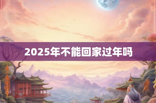 2025年不能回家过年吗