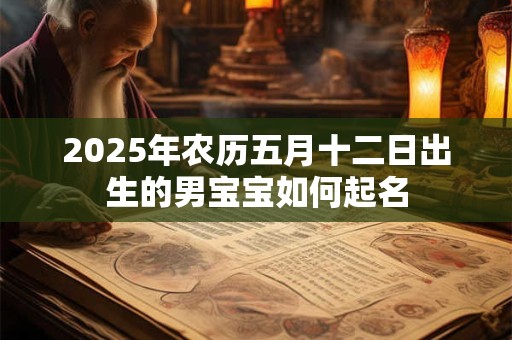 2025年农历五月十二日出生的男宝宝如何起名