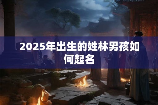 2025年出生的姓林男孩如何起名 2025年出生的姓林男孩如何起名