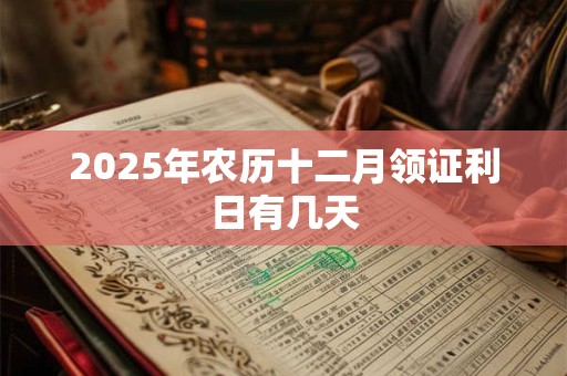 2025年农历十二月领证利日有几天