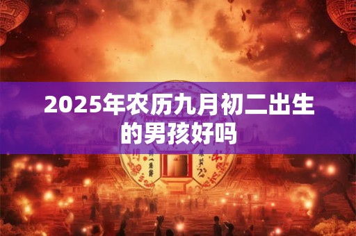2025年农历九月初二出生的男孩好吗 2025年农历九月初二出生的男孩好吗