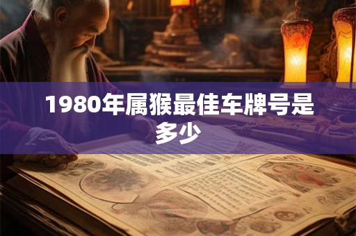 1980年属猴最佳车牌号是多少