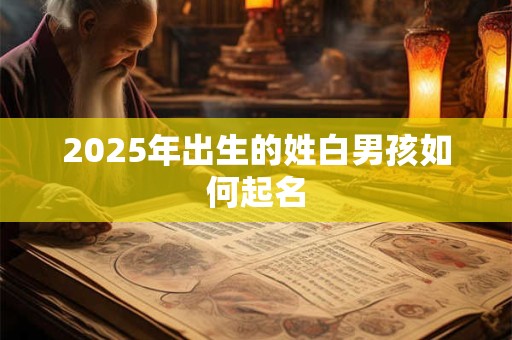 2025年出生的姓白男孩如何起名