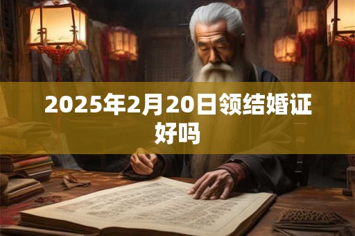 2025年2月20日领结婚证好吗 2025年2月20日领结婚证好吗