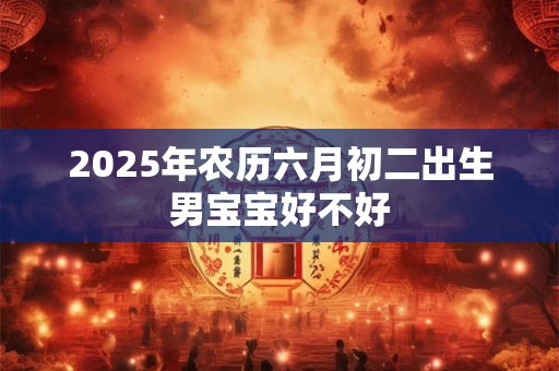 2025年农历六月初二出生男宝宝好不好 2025年农历六月初二出生男宝宝好不好