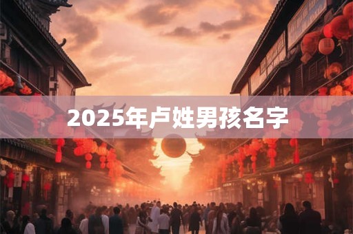 2025年卢姓男孩名字