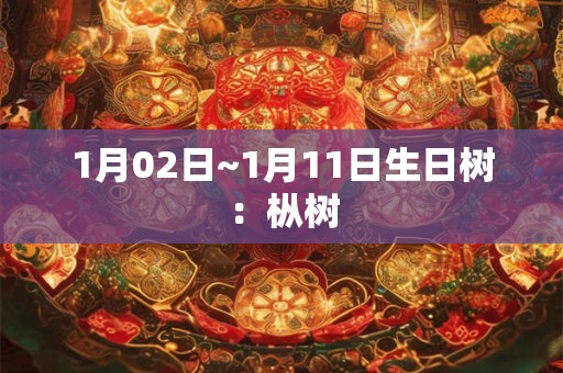 1月02日~1月11日生日树:枞树 1月02日~1月11日生日树:枞树