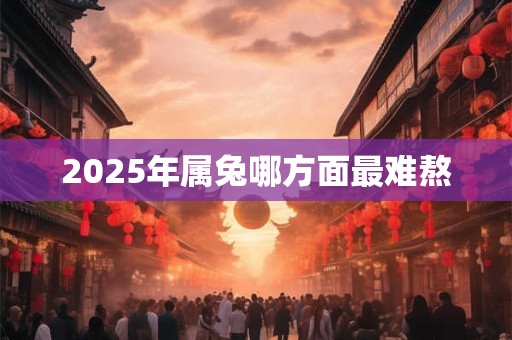2025年属兔哪方面最难熬 2025年属兔哪方面最难熬