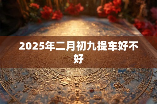 2025年二月初九提车好不好 2025年二月初九提车好不好