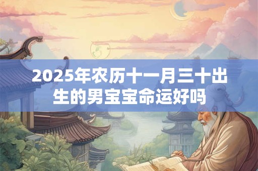 2025年农历十一月三十出生的男宝宝命运好吗