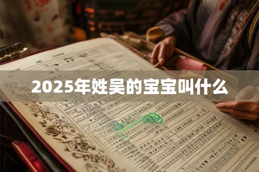 2025年姓吴的宝宝叫什么