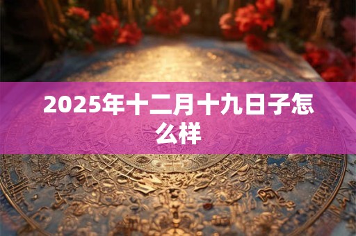2025年十二月十九日子怎么样 2025年十二月十九日子怎么样