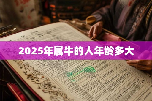 2025年属牛的人年龄多大