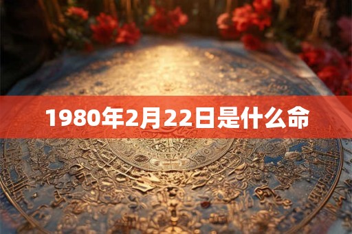 1980年2月22日是什么命 1980年2月22日是什么命