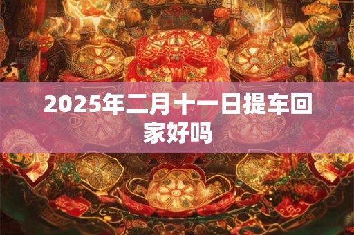 2025年二月十一日提车回家好吗 2025年二月十一日提车回家好吗