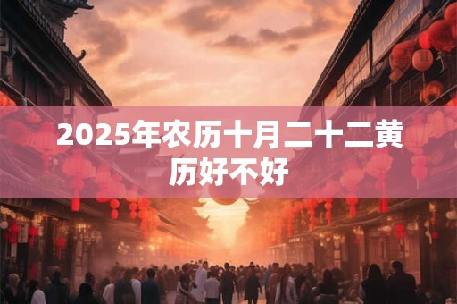 2025年农历十月二十二黄历好不好