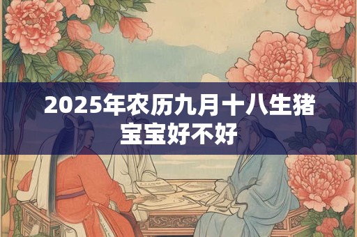 2026年农历九月十八生猪宝宝好不好