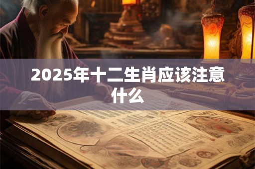 2025年十二生肖应该注意什么