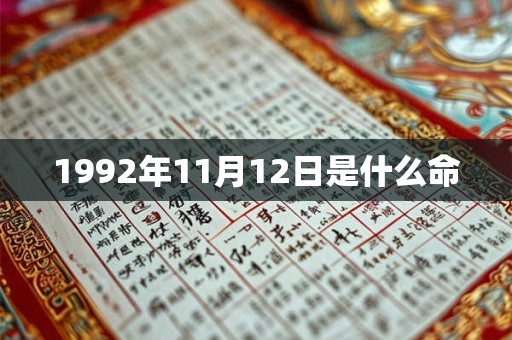 1992年11月12日是什么命 1992年11月12日是什么命