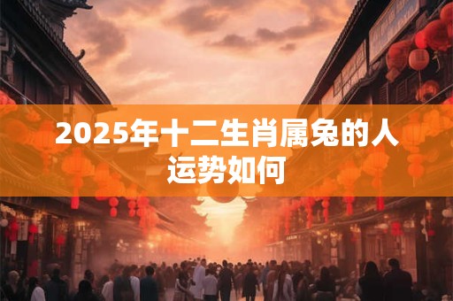 2025年十二生肖属兔的人运势如何