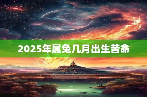 2025年属兔几月出生苦命 2025年属兔几月出生苦命