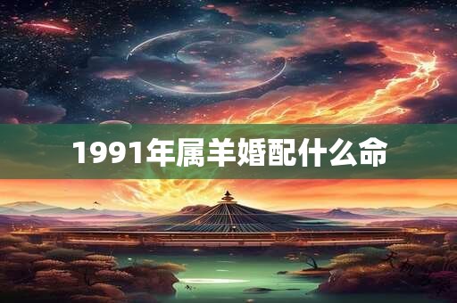 1991年属羊婚配什么命 1991年属羊婚配什么命