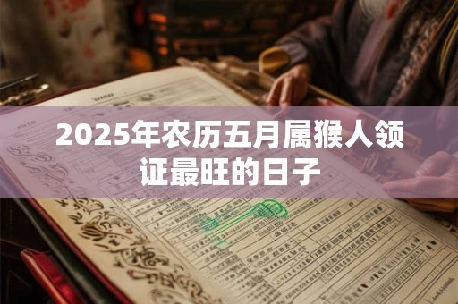 2025年农历五月属猴人领证最旺的日子 2025年农历五月属猴人领证最旺的日子