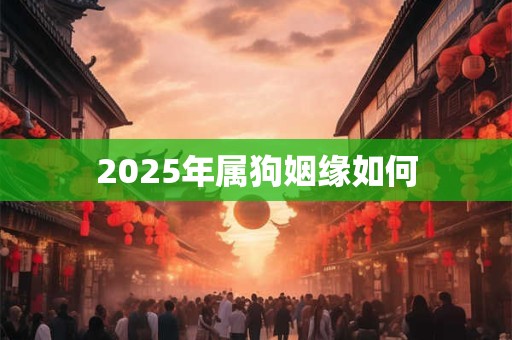 2025年属狗姻缘如何