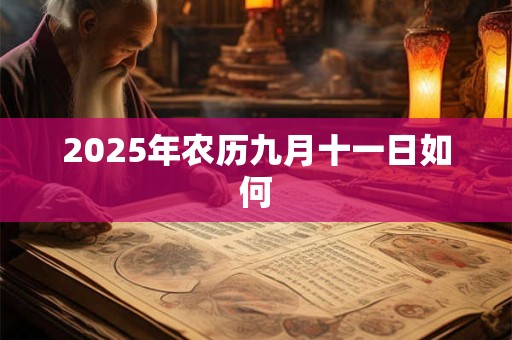 2025年农历九月十一日如何 2025年农历九月十一日如何