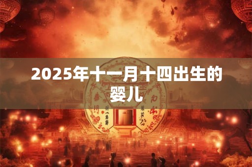 2025年十一月十四出生的婴儿 2025年十一月十四出生的婴儿