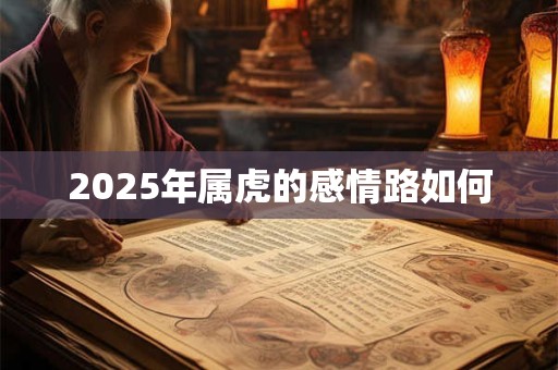 2025年属虎的感情路如何 2025年属虎的感情路如何