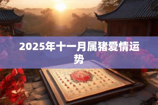 2025年十一月属猪爱情运势 2025年十一月属猪爱情运势