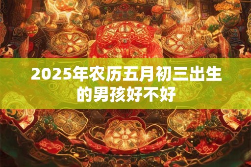 2025年农历五月初三出生的男孩好不好 2025年农历五月初三出生的男孩好不好