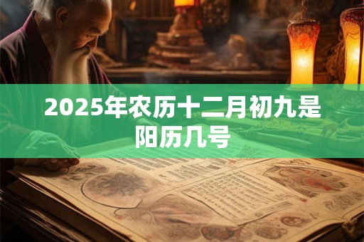 2025年农历十二月初九是阳历几号