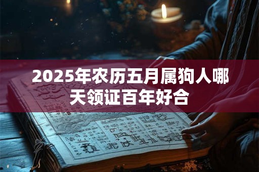 2025年农历五月属狗人哪天领证百年好合 2025年农历五月属狗人哪天领证百年好合