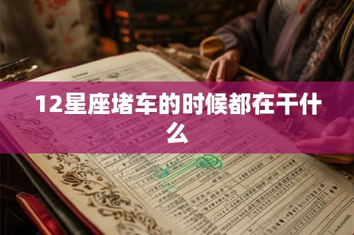 12星座堵车的时候都在干什么 12星座堵车的时候都在干什么