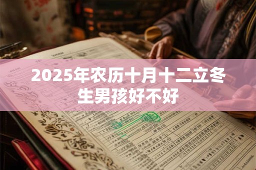 2026年农历十月十二立冬生男孩好不好