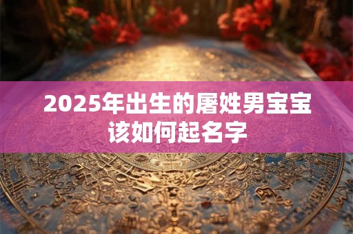 2025年出生的屠姓男宝宝该如何起名字 2025年出生的屠姓男宝宝该如何起名字