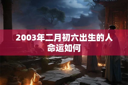 2003年二月初六出生的人命运如何 2003年二月初六出生的人命运如何