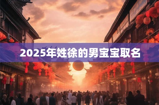 2025年姓徐的男宝宝取名