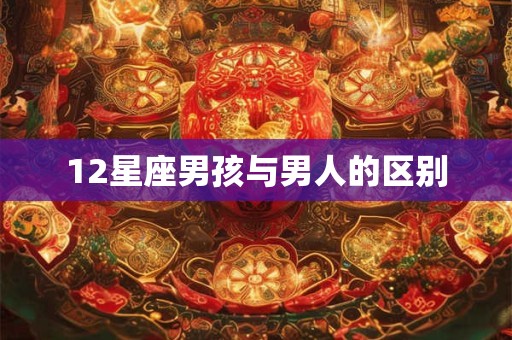 12星座男孩与男人的区别 12星座男孩与男人的区别