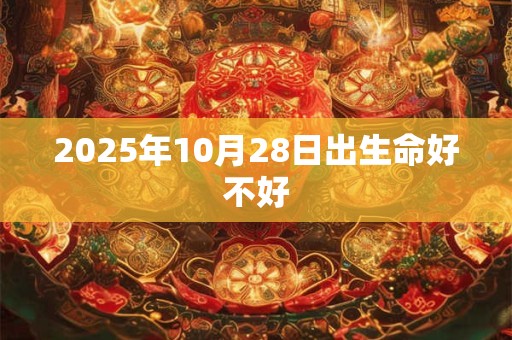 2025年10月28日出生命好不好 2025年10月28日出生命好不好