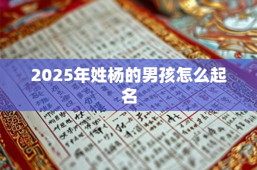 2025年姓杨的男孩怎么起名 2025年姓杨的男孩怎么起名