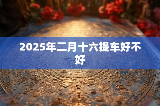 2025年二月十六提车好不好 2025年二月十六提车好不好