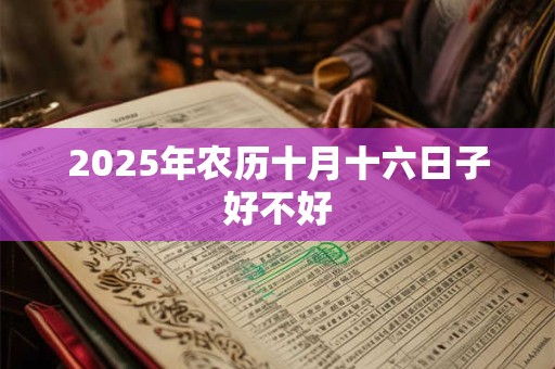2025年农历十月十六日子好不好