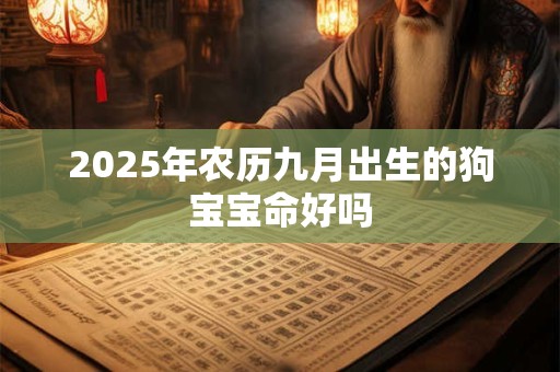 2025年农历九月出生的狗宝宝命好吗 2025年农历九月出生的狗宝宝命好吗
