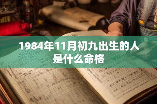 1984年11月初九出生的人是什么命格 1984年11月初九出生的人是什么命格